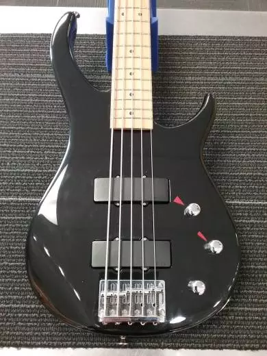 PEAVEY FOUNDATION 2000 5STR
