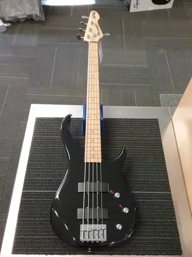 PEAVEY FOUNDATION 2000 5STR 2