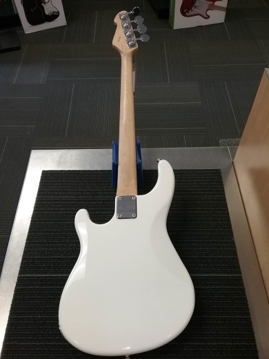 Gear Hunter | PEAVEY ZODIAC BXP