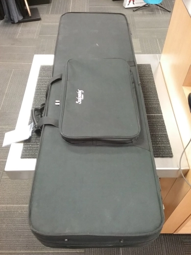 SADOWSKY BASS CASE