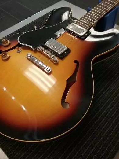 GIBSON 59 ES-335 RI VOS LEFT VINTAGE BURST 2