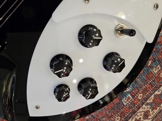 Rickenbacker - 330/12 JG 5