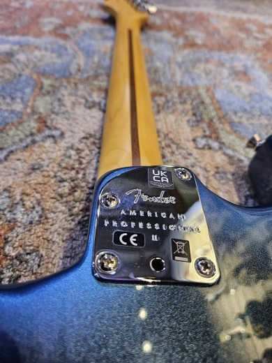 Fender American Professional II Strat (The Dark Knight) 2