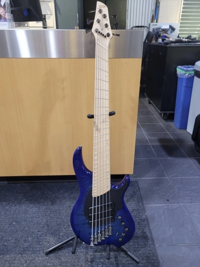 Dingwall 6 String Bass