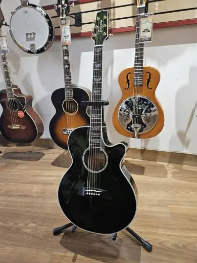 Takamine TDP181A