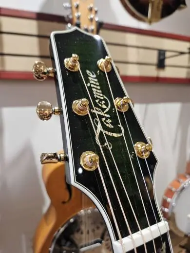 Takamine TDP181A 2