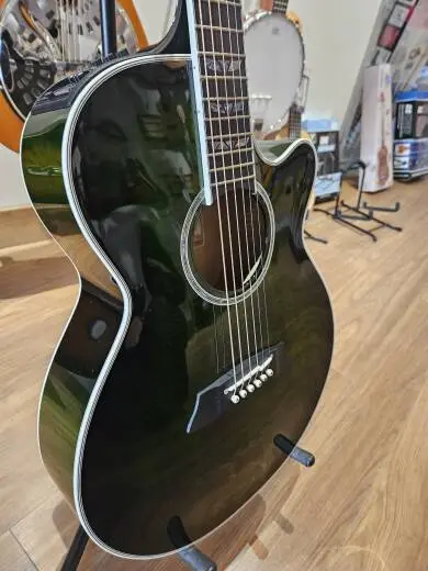 Takamine TDP181A 2