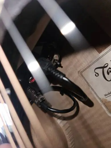 Takamine TDP181A 2