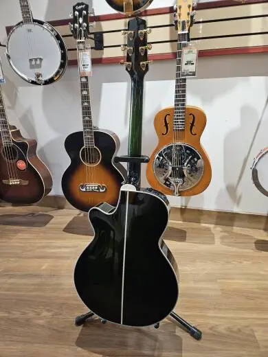 Takamine TDP181A 2