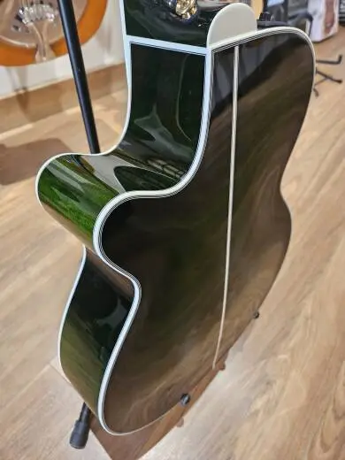 Takamine TDP181A 2