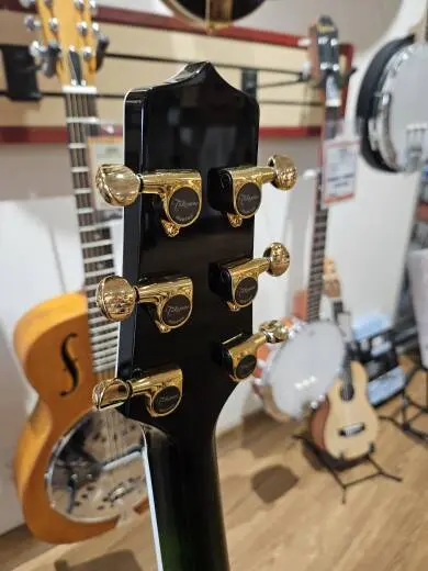 Takamine TDP181A 2
