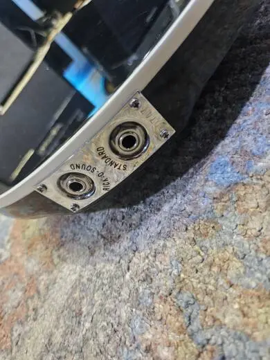 Rickenbacker - 360 JG 2