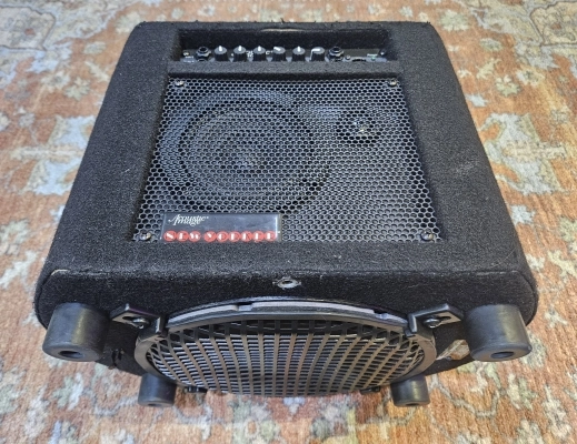 Acoustic Image New Yorker 420 CA 2