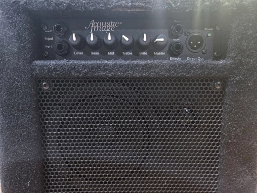 Acoustic Image New Yorker 420 CA 3