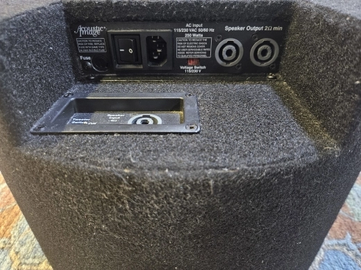 Acoustic Image New Yorker 420 CA 4