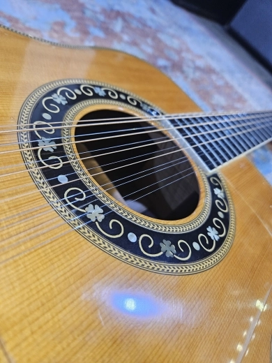 BOZO B80S Vintage MIJ 12-String Acoustic 5