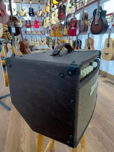 Traynor - AMSTUDIO 2