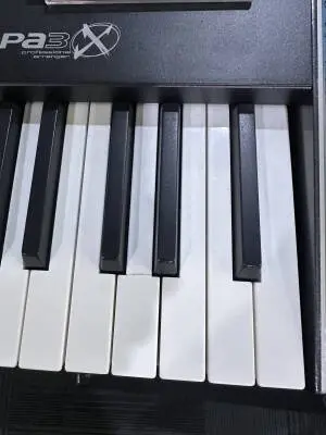Korg - PA3X-76 2