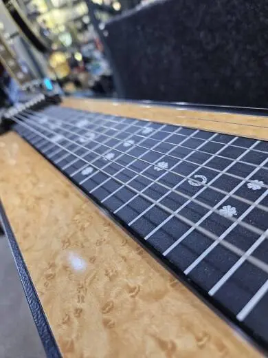 GFI Pedal Steel 2