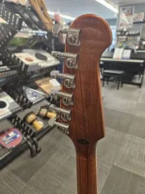 Epiphone - EIFBVSNH 2
