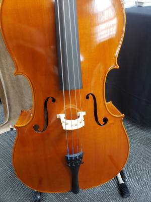 SCARLATTI CARVED CELLO OUTFIT, WOOD BOW 2