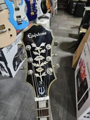 Epiphone - ETSWBPNB 2