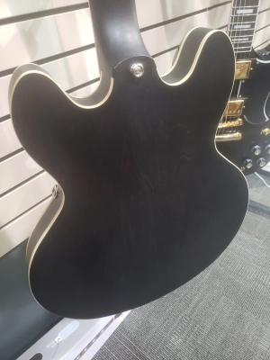 Epiphone - ETCAWEBNH 3