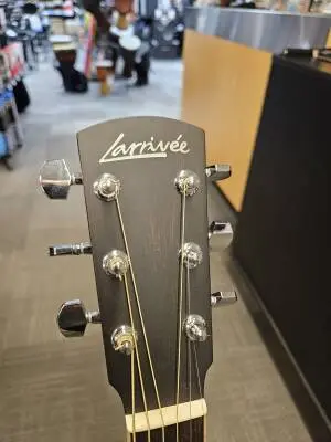 Larrivee - OM-03 2