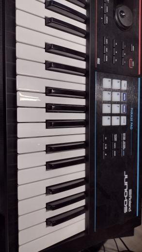 Roland Juno DS61 61-Key Synthesizer W/Phrase Pads | Long & McQuade