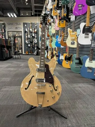 Epiphone - ETCANACH