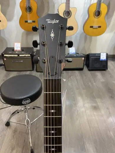 Taylor Guitars - 324CE 2