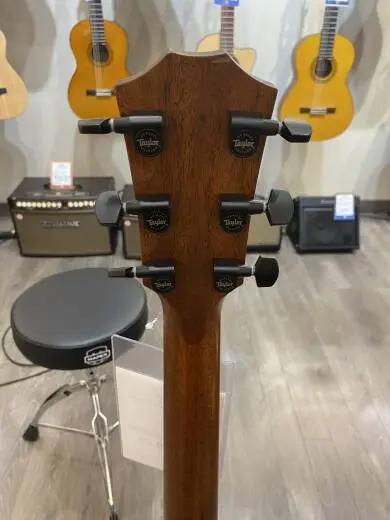 Taylor Guitars - 324CE 2