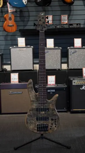 FODERA MONARCH CUSTOM 5 BUCKEYE/ASH/RSWD