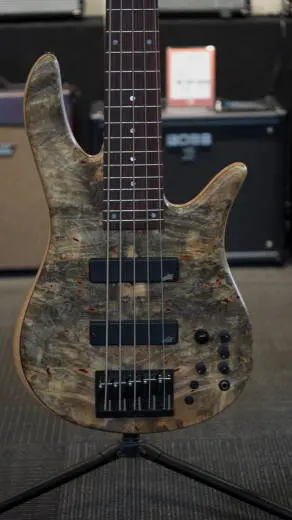 FODERA MONARCH CUSTOM 5 BUCKEYE/ASH/RSWD 2