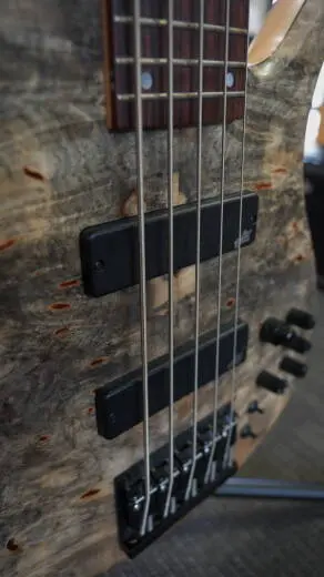 FODERA MONARCH CUSTOM 5 BUCKEYE/ASH/RSWD 2