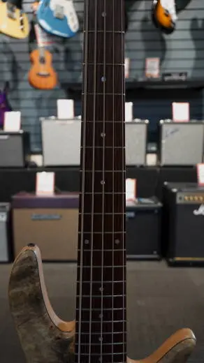 FODERA MONARCH CUSTOM 5 BUCKEYE/ASH/RSWD 2