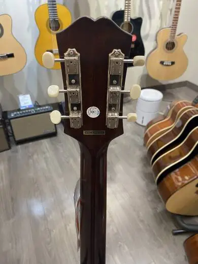 Epiphone - IGMTJ455VSNH 2