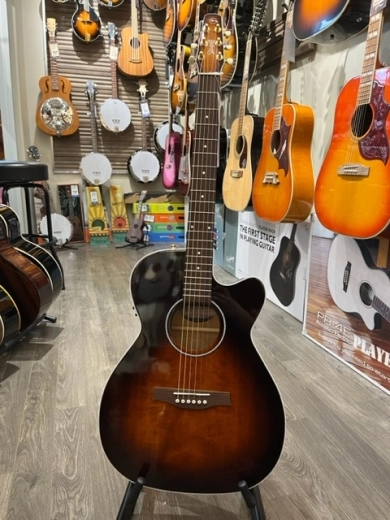 Seagull Guitars - S41824