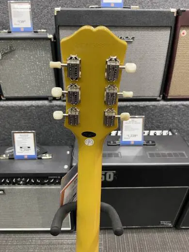 Epiphone - EILPTVNH 2