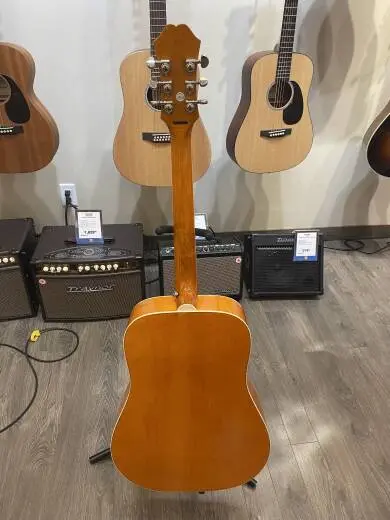 Epiphone - EEDVVBNH 2