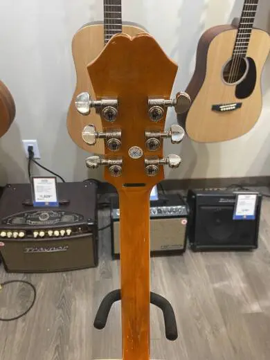 Epiphone - EEDVVBNH 2