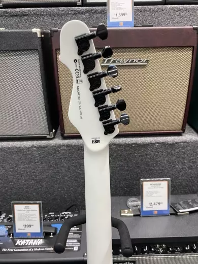 ESP Guitars - LTE200RSW 2