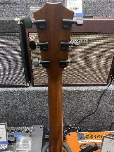 Taylor Guitars - 324CE 2