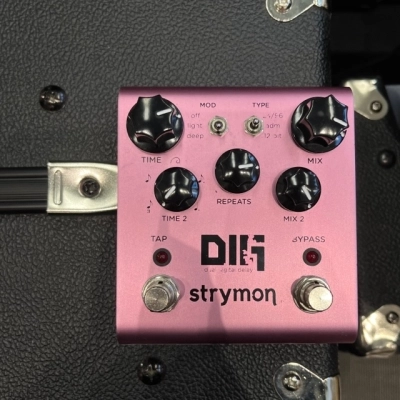 Strymon - DIG V1