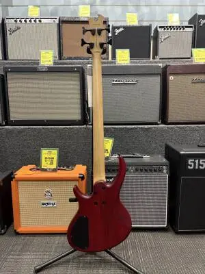Epiphone - TBD4TRBH 2