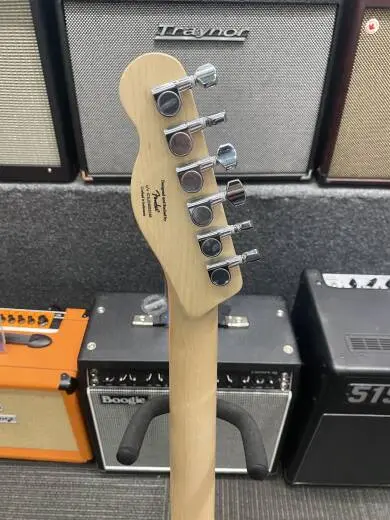 Squier - 037-8203-550 2