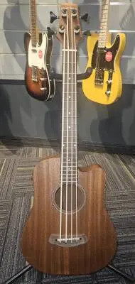 Gold Tone - MICRO BASS