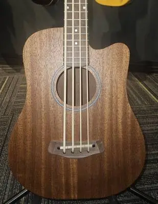 Gold Tone - MICRO BASS 2