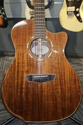 WASHBURN WCG55CE-0 2
