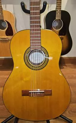 Epiphone - EAPCANCH 2